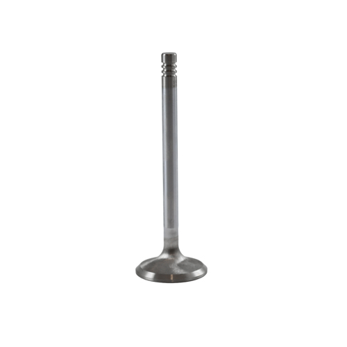 Exhaust valve B20/B30 d=38mm High Perf. in the group Volvo / Engines Volvo / Volvo B30 / Valve mechanism B30E/F at VP Autoparts AB (552824)