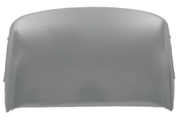 Roof panel El Camino 68-72 in the group General Motors / Chevelle/El Camino/Monte Carlo / Body / Roof & deck filler at VP Autoparts AB (GMK-4082-495-68)