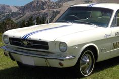 Stripesats Ford Competition bl