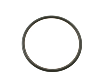 O-ring