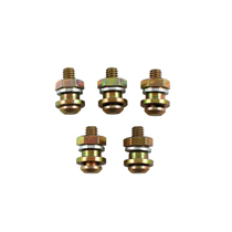 Screw