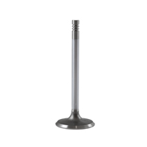 Insugsventil B20 E/F, A/B 72- dy 44mm