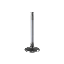 Intake valve B19-B23 (Not B230K)