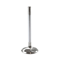Insugsventil B20 dy 44mm High Performance