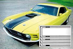 1970 Mach1 Hood Paint Stencil "351" Shak