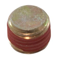 Skruvplugg 1/4" NPT Med Sealer