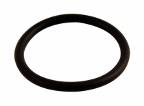 O-ring bensintank 240