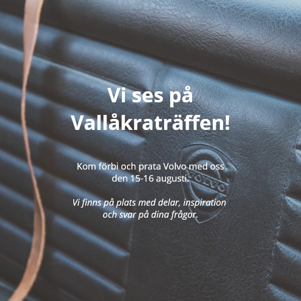 Vi ses p� vall�kra