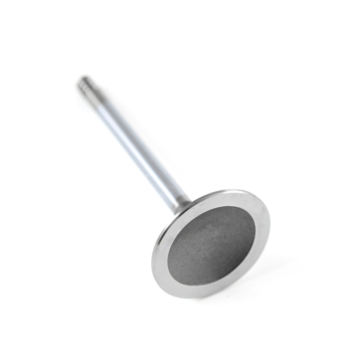 Intake valve B19-B23 (Not B230K)