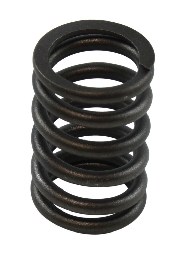 Valve spring 302 82-91 Intake