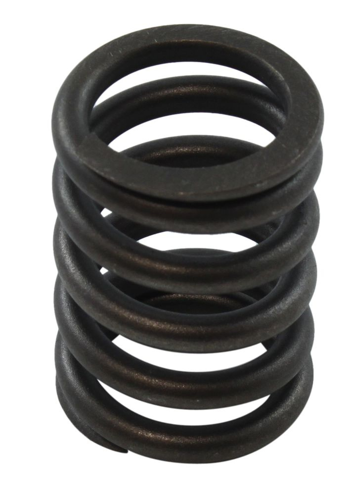 Valve spring