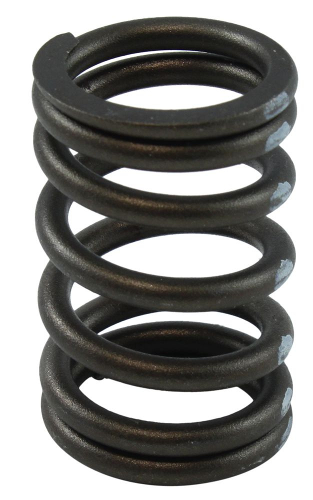 Valve Spring 260/289 Di=25,4