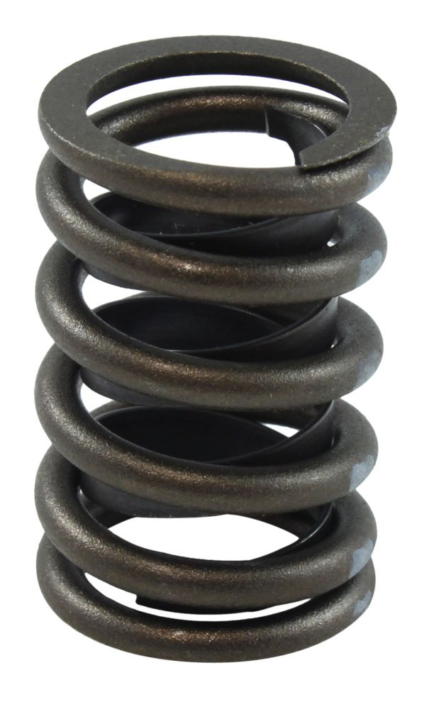 Valve Spring 390/428