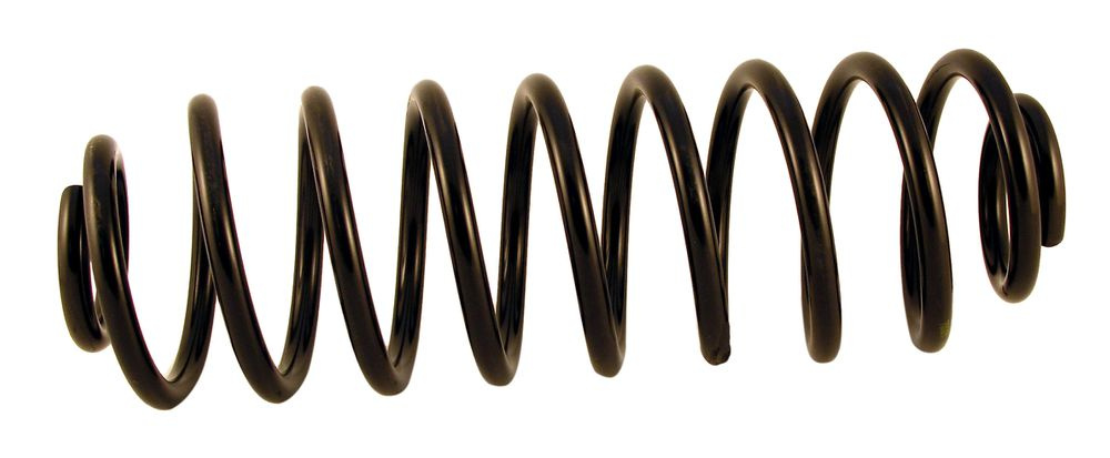 Coil spring PV rear