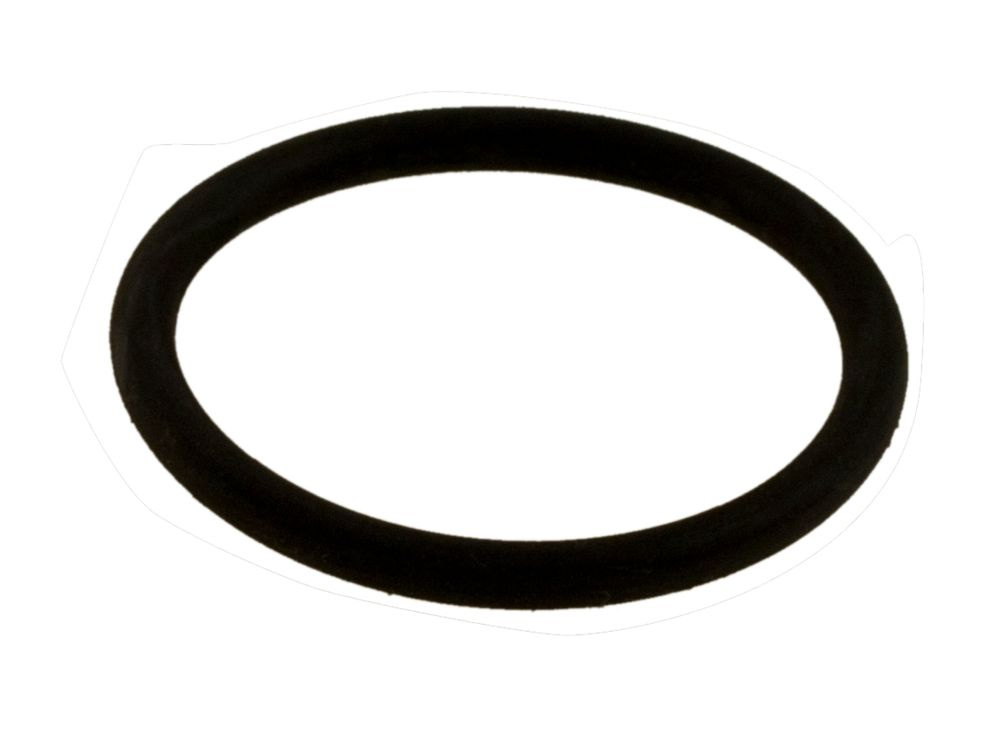 O-ring