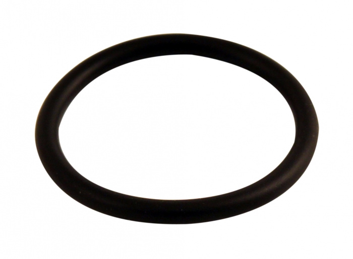O-ring bensintank 240