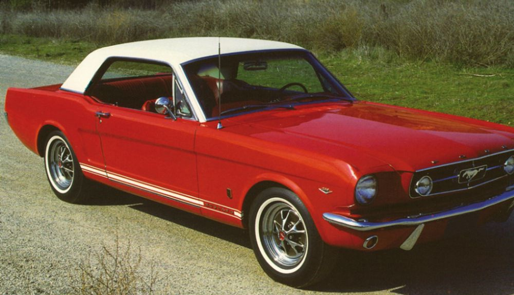 Stripe kit GT 65-66 white