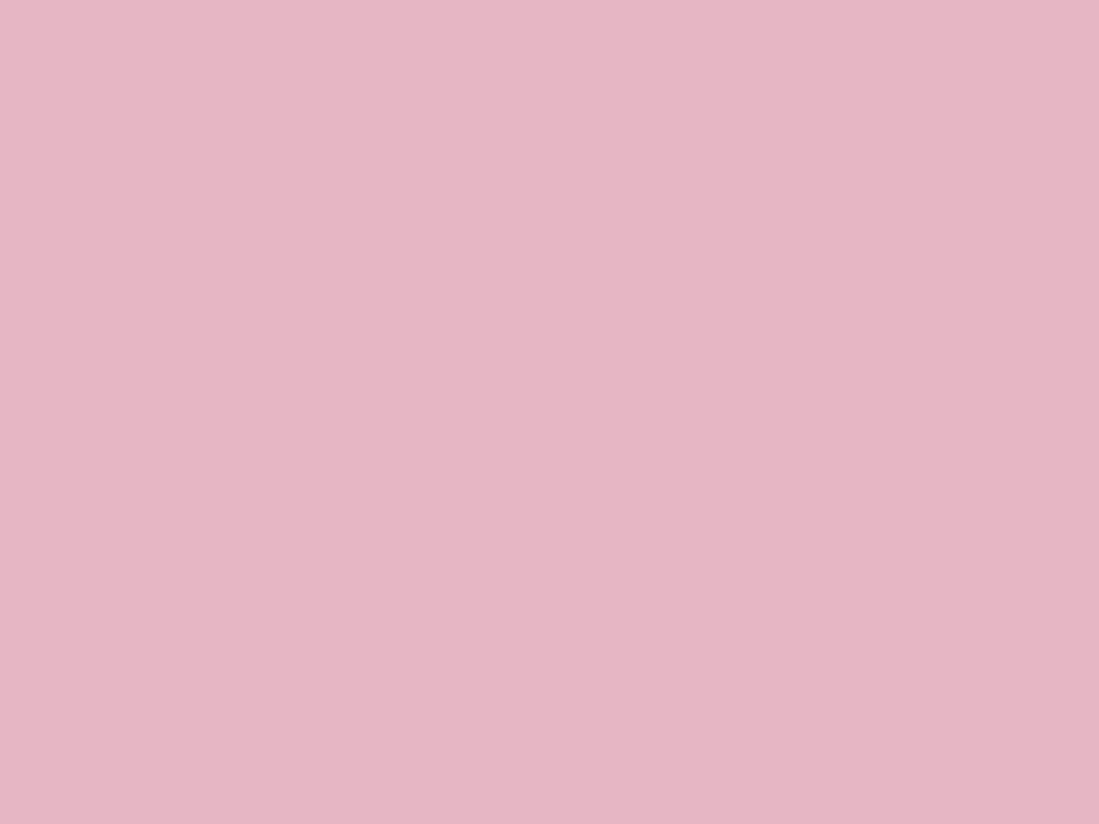 Enamel Dusk Rose C500HB